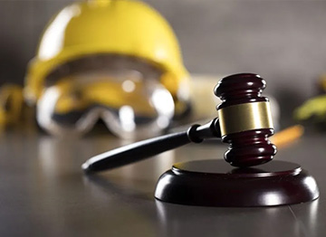 Labor and Immigration Law